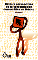 Sinergia 7